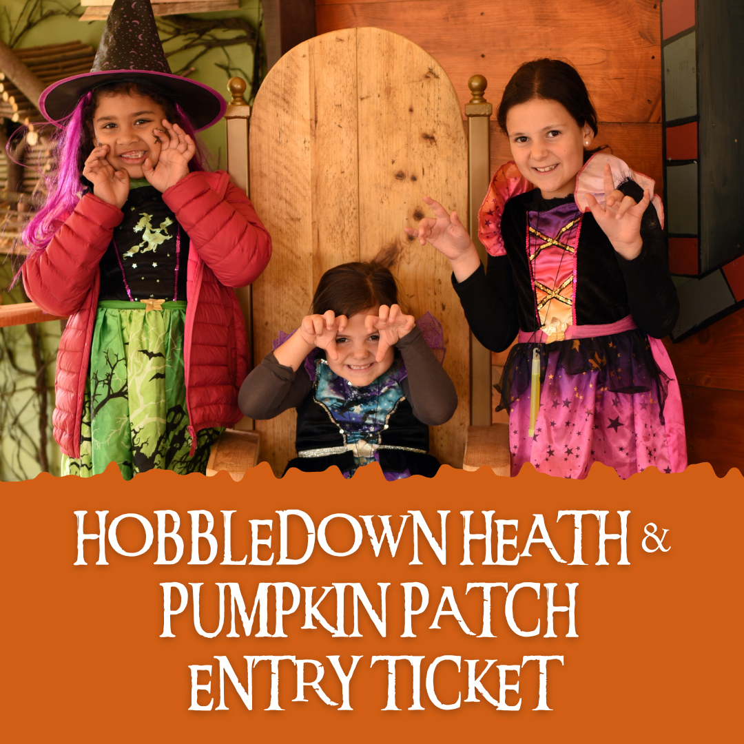 Pumpkin Patch In West London 2024 - Hobbledown Heath