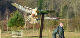 Educational Visits Willows