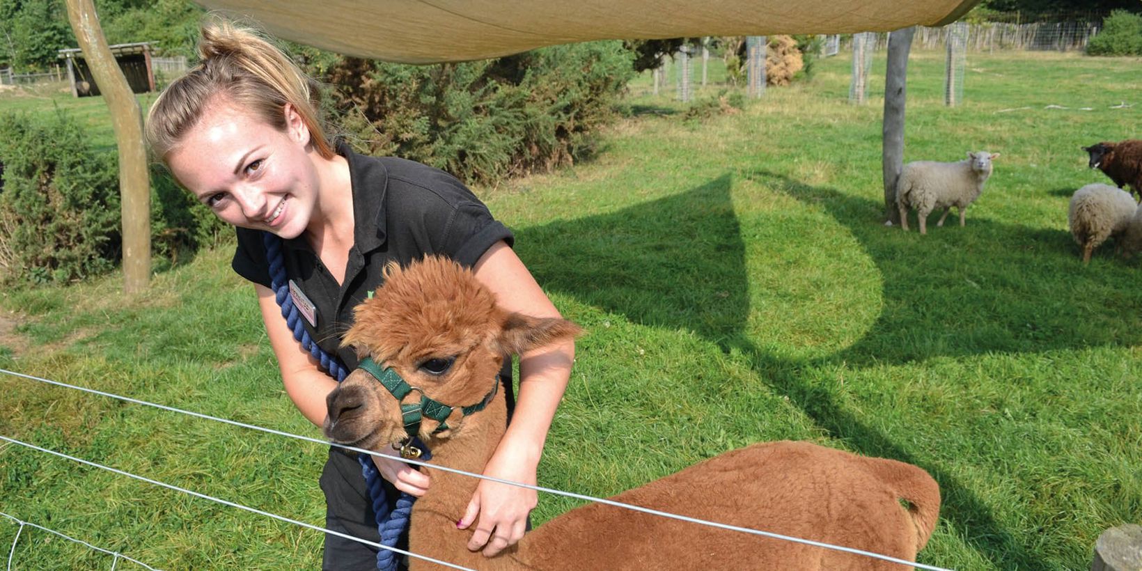 Best Junior Zookeeper Experience Near Me